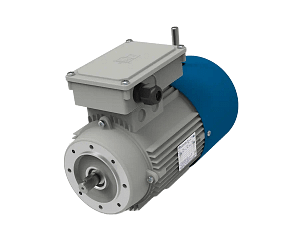 Adobe Express - file (2) Silnik elektryczny